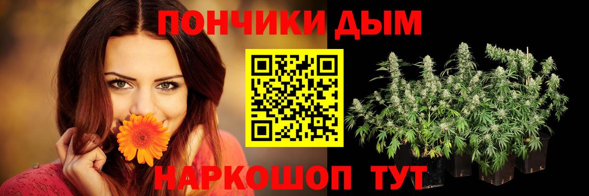 Бошки марихуана индика  Каннабис Bruce Banner  Конопля Bruce Banner  Качканар  Вход с VPN  Марихуана Amnesia 